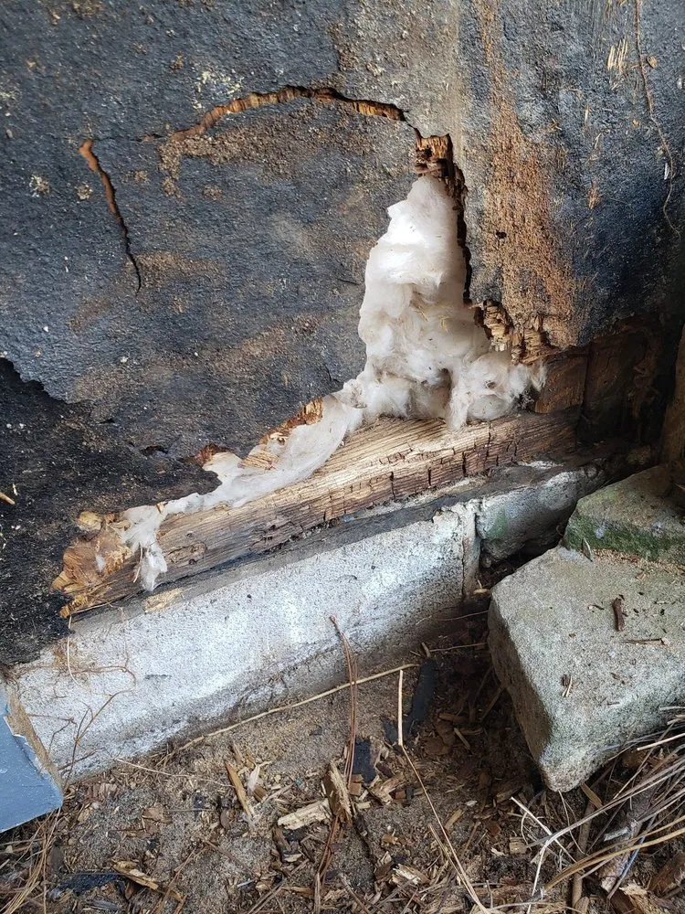 Professional garden landscaping in Panama City Beach, FL by Sam G&T