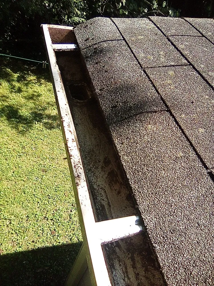 Expert landscape installation in Knoxville, TN - Sam I Am General Landscaping