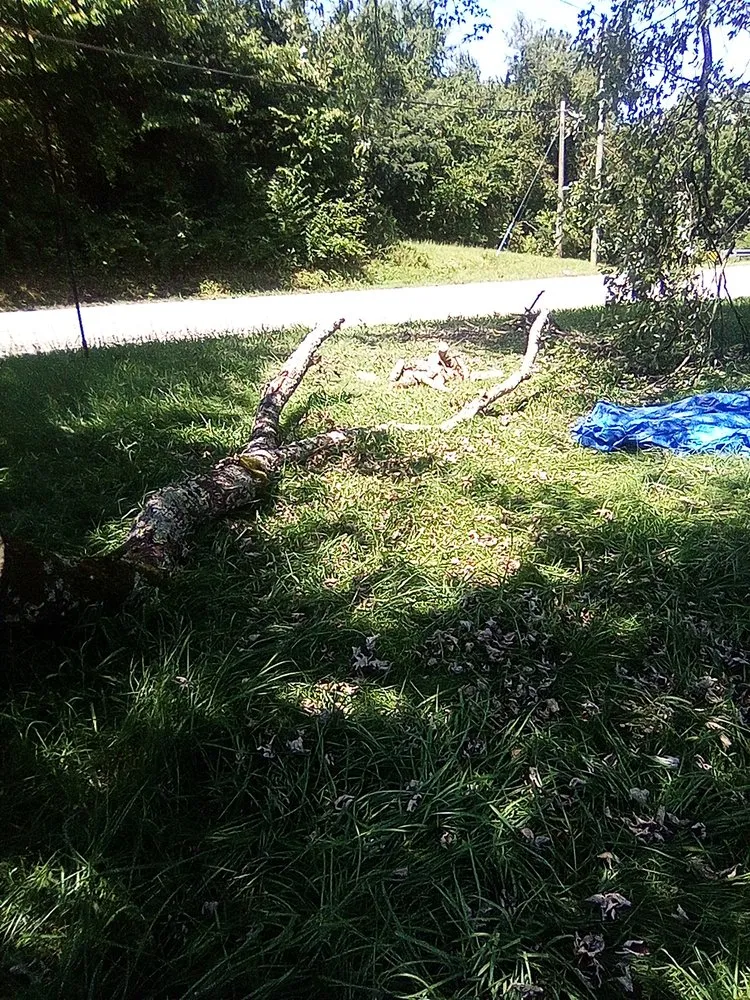 Top-rated residential landscaping in Knoxville, TN - Sam I Am General Landscaping