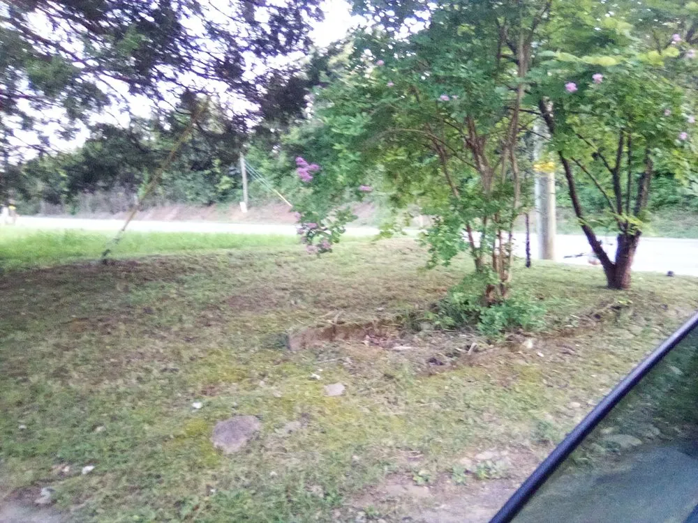 Expert residential landscaping in Knoxville, TN by Sam I Am General Landscaping