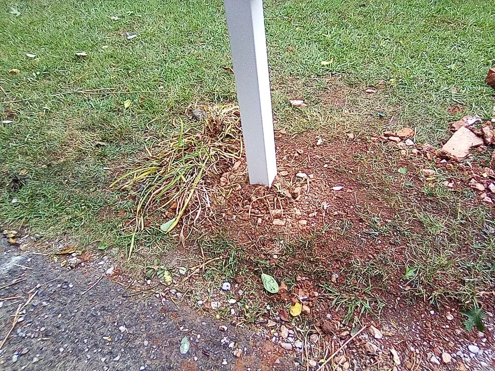 Trusted lawn care service experts serving Knoxville, TN - Sam I Am General Landscaping