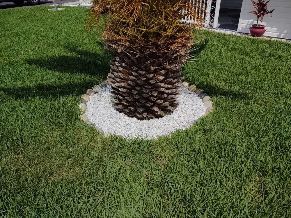 Top-rated landscape design in Clearwater, FL - Sam I Am Lawn and Landscaping