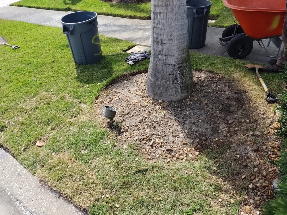 Affordable landscaping services in Clearwater, FL by Sam I Am Lawn and Landscaping