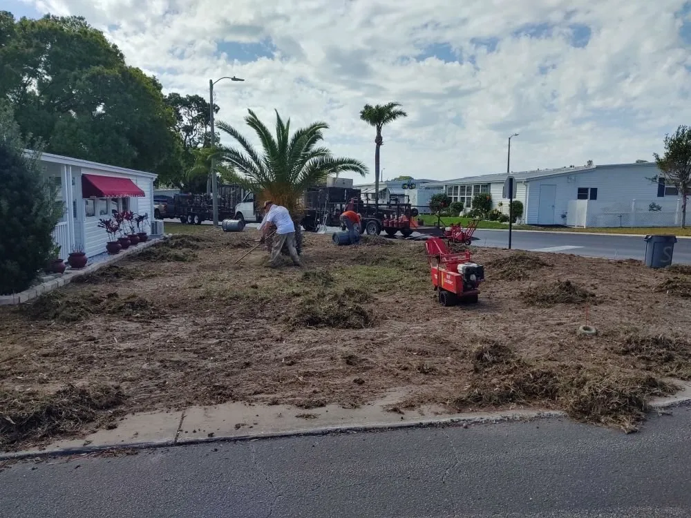 Local yard maintenance in Clearwater, FL by Sam I Am Lawn and Landscaping