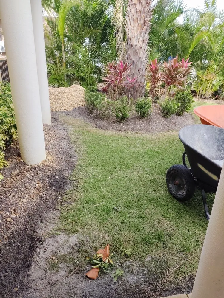 Expert yard maintenance for year-round maintenance across Clearwater, FL - Sam I Am Lawn and Landscaping