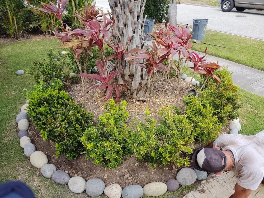 Professional yard cleanup service in Clearwater, FL by Sam I Am Lawn and Landscaping