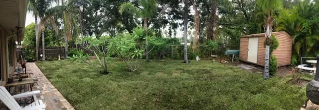 Top-rated landscaping services experts serving Clearwater, FL - Sam I Am Lawn and Landscaping