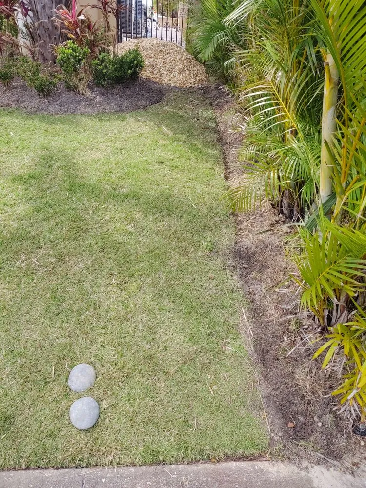 Professional residential landscaping experts serving Clearwater, FL - Sam I Am Lawn and Landscaping