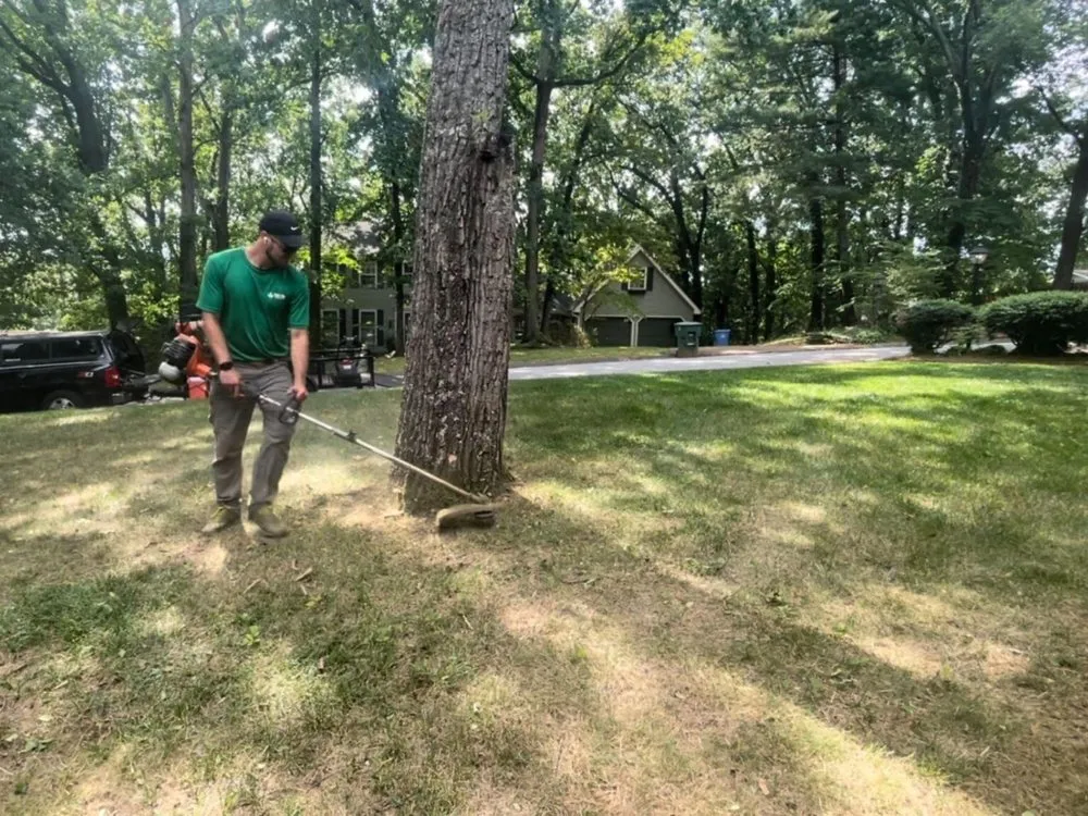 Professional residential landscaping experts serving Red Bank, TN - Sam I Am Outdoor Services