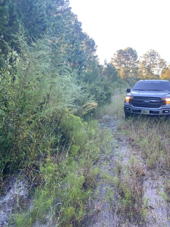 Local garden landscaping in Savannah, GA by Sam Jay Services