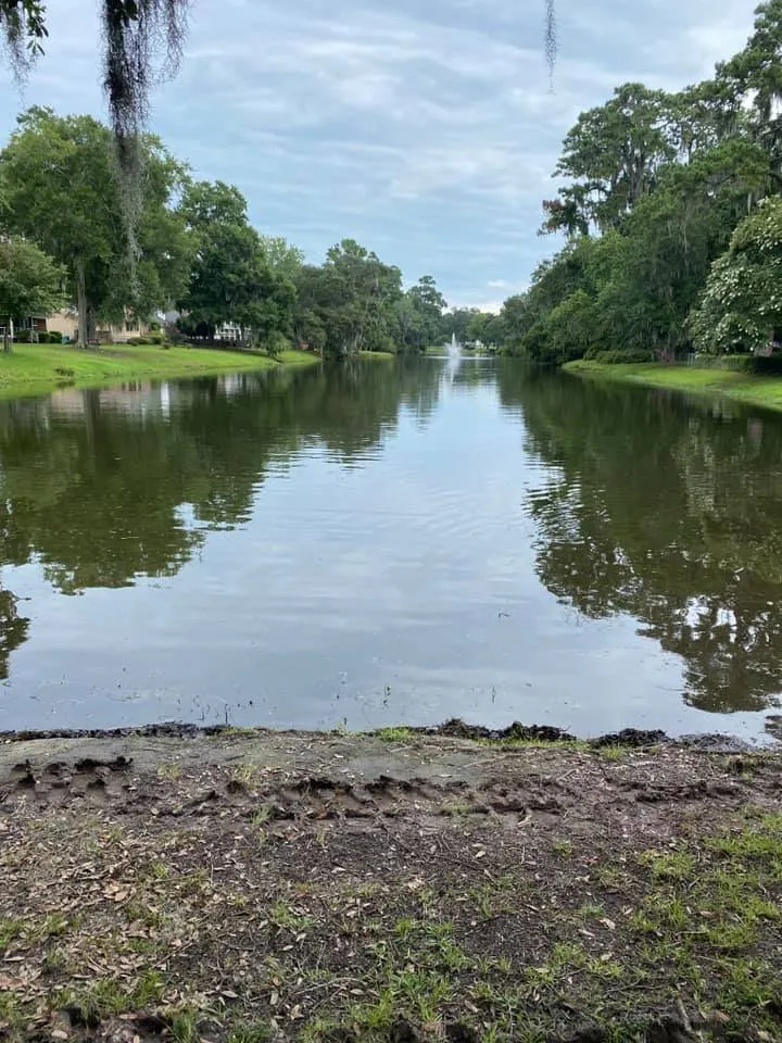 Expert garden landscaping in Savannah, GA by Sam Jay Services