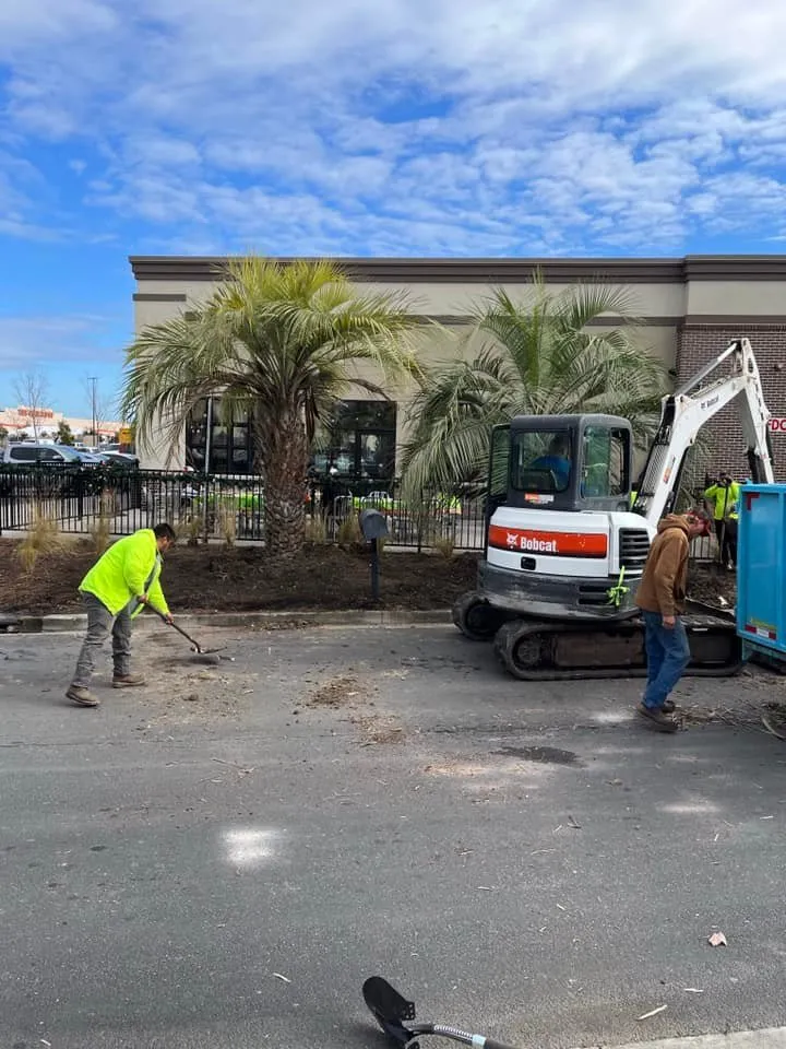 Affordable lawn care service in Savannah, GA - Sam Jay Services