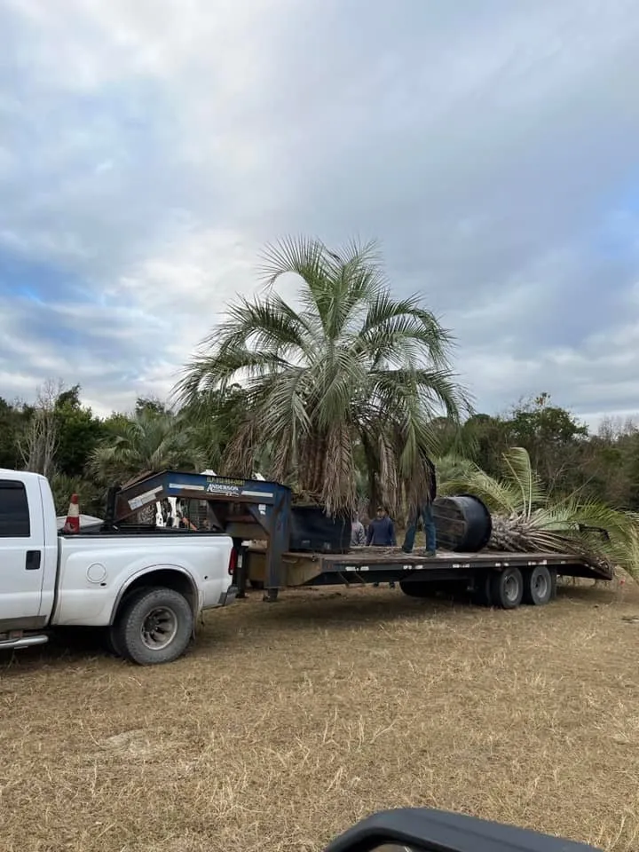 Custom landscape design in Savannah, GA - Sam Jay Services