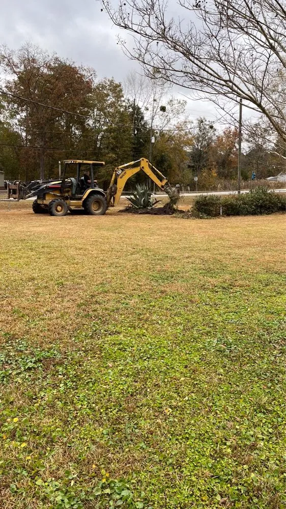 Expert yard cleanup service for beautiful yards in Savannah, GA by Sam Jay Services