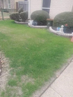 Sam Landscaping High Dedication Logo