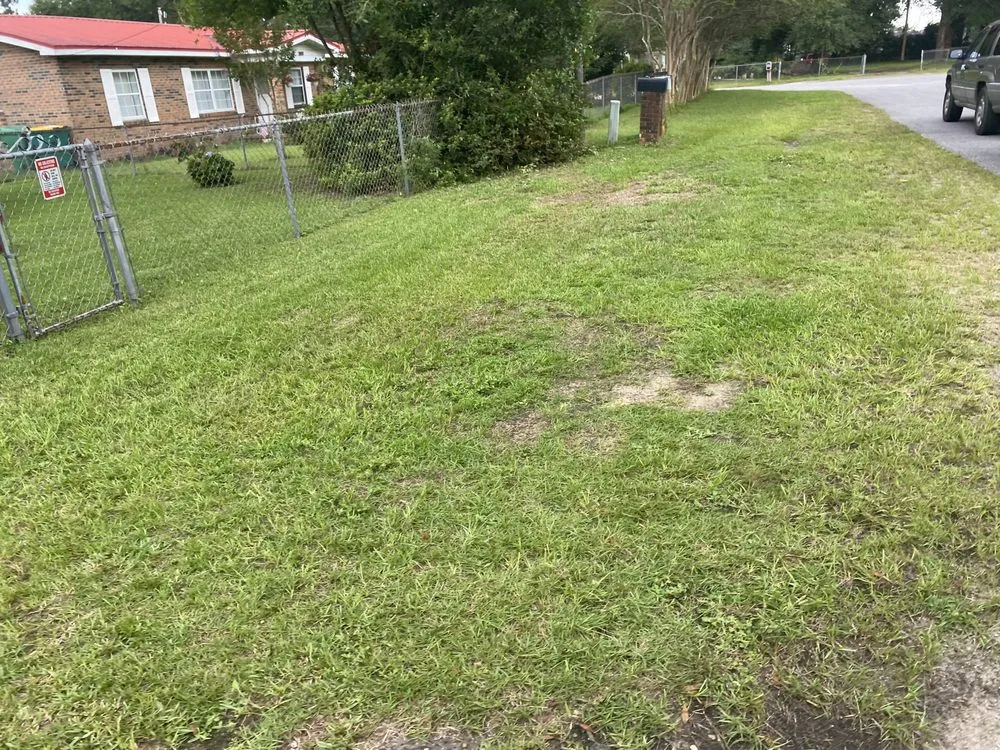 Professional yard cleanup service in Crestview, FL by Sam Lawncare