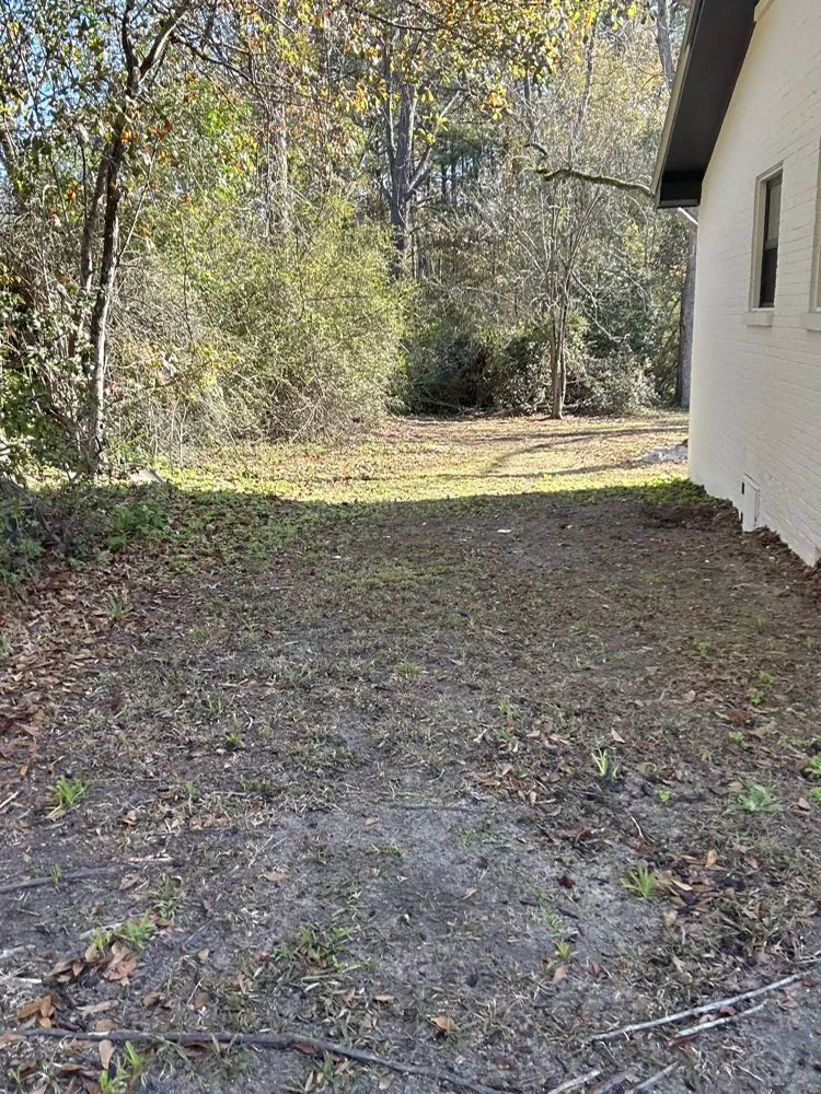 Top-rated outdoor landscaping in Crestview, FL by Sam Lawncare