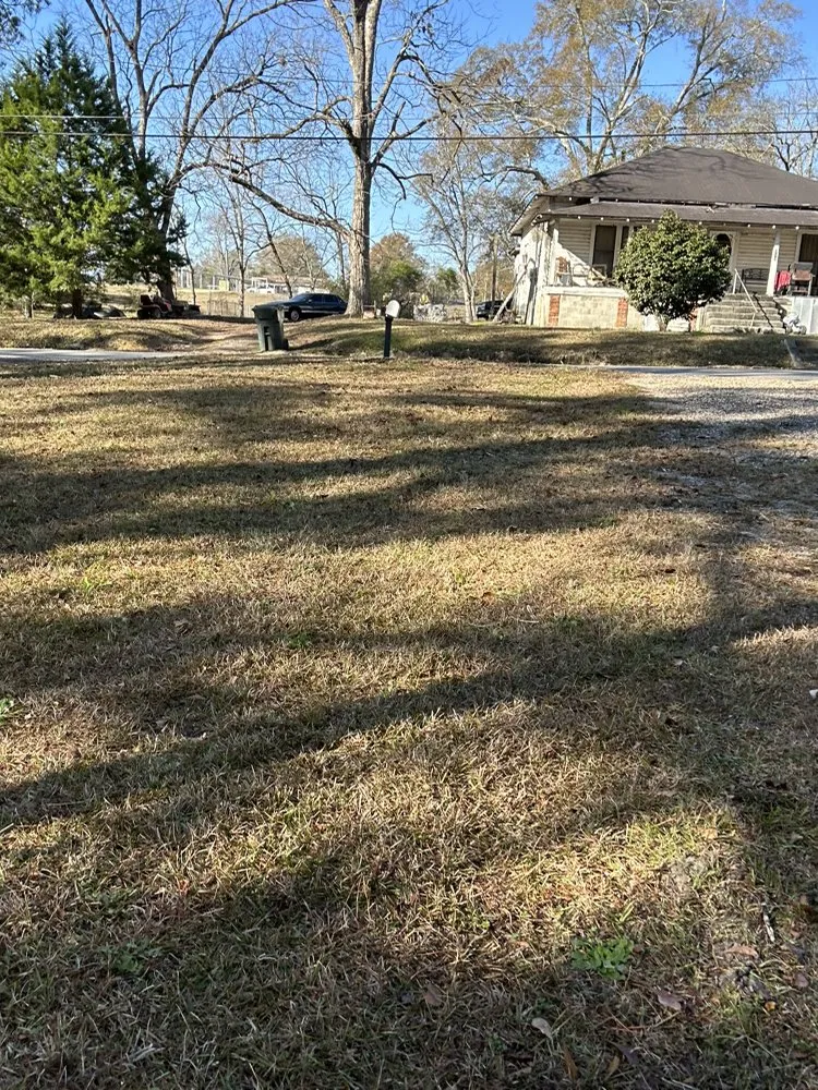 Trusted lawn care service for homes in Crestview, FL by Sam Lawncare