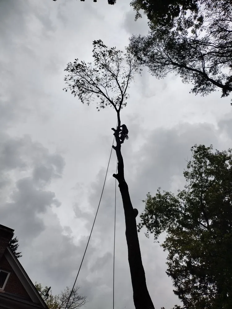 Local landscape installation in Canton, MI - Sam Outdoor Service