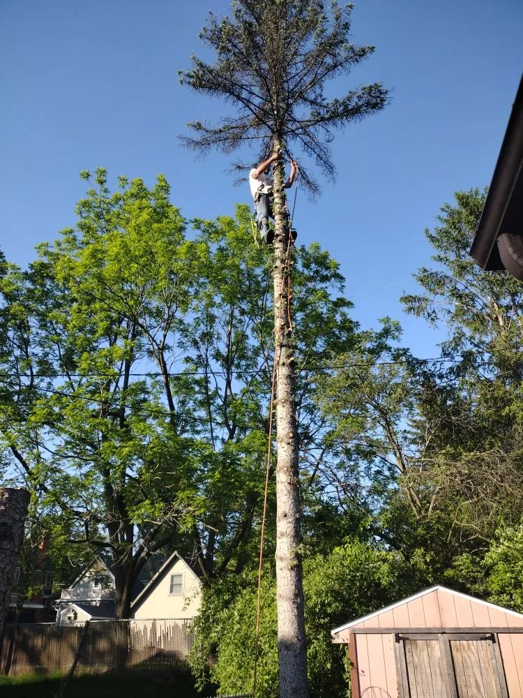 Top-rated landscape installation for beautiful yards across Canton, MI - Sam Outdoor Service