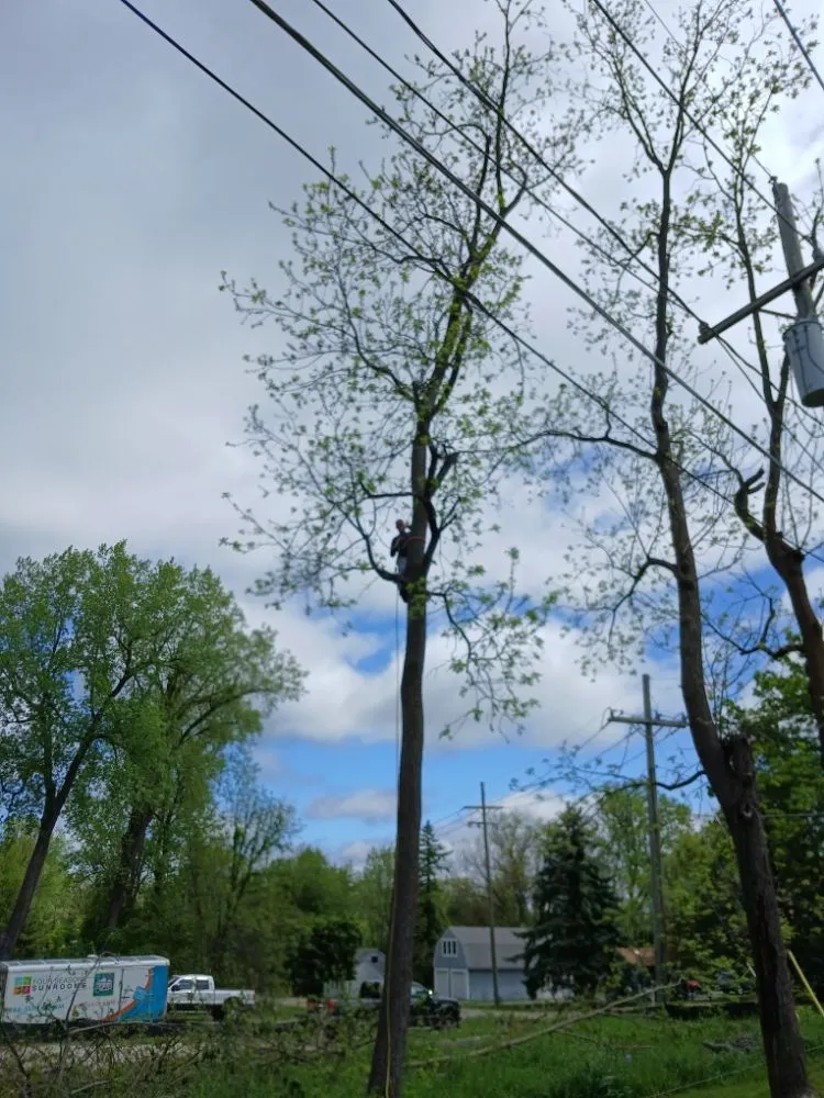 Reliable landscape installation for homes across Canton, MI - Sam Outdoor Service