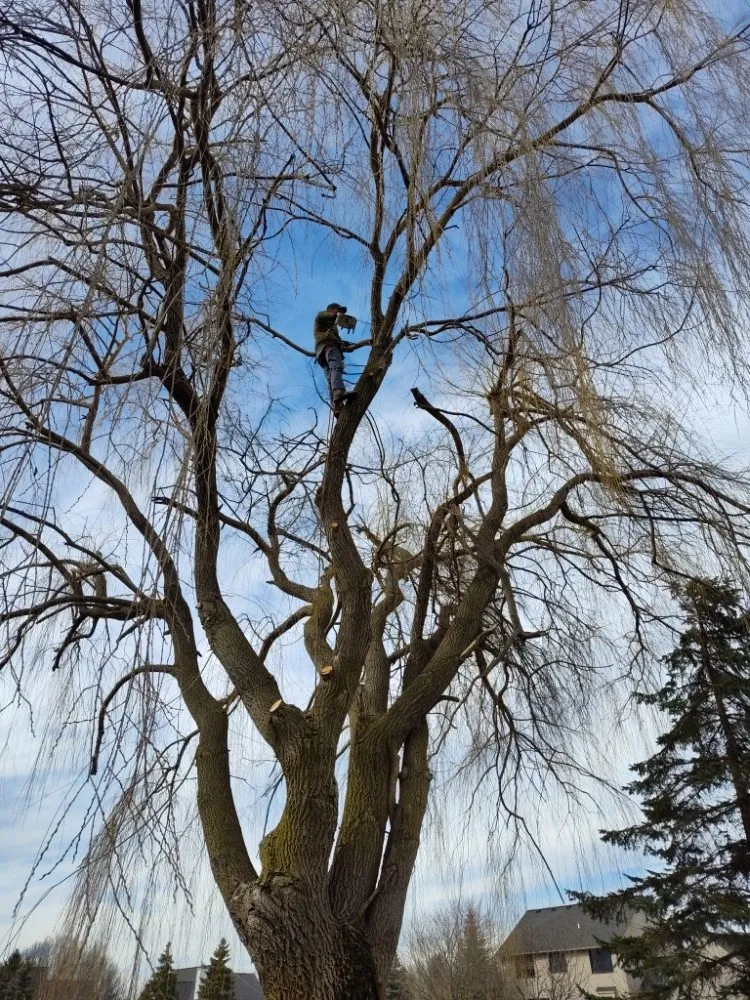 Professional outdoor landscaping in Canton, MI - Sam Outdoor Service