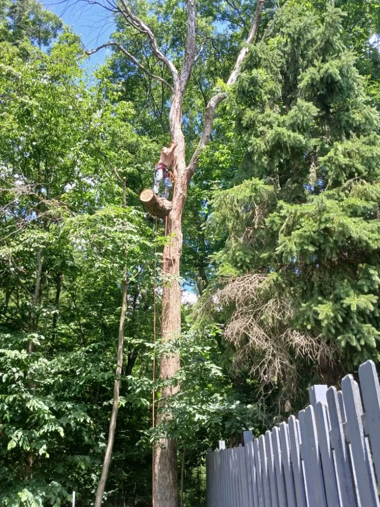 Reliable lawn care service experts serving Canton, MI - Sam Outdoor Service