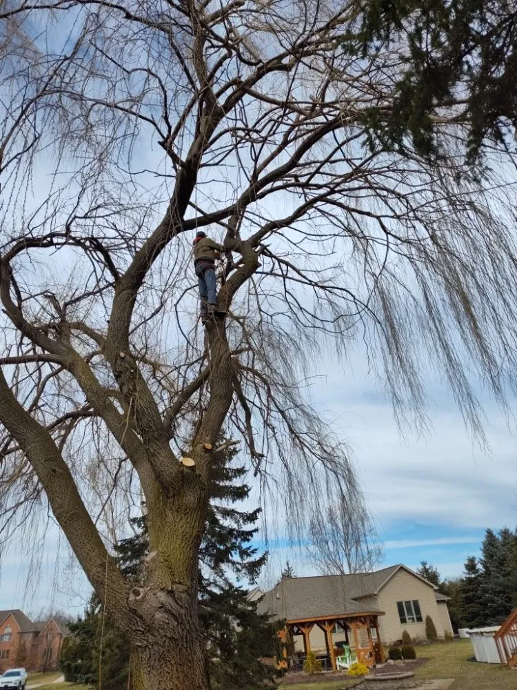 Affordable residential landscaping for homes in Canton, MI by Sam Outdoor Service