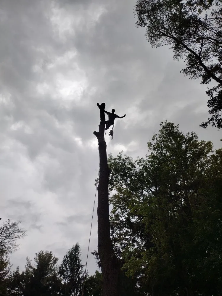 Professional yard maintenance in Canton, MI - Sam Outdoor Service