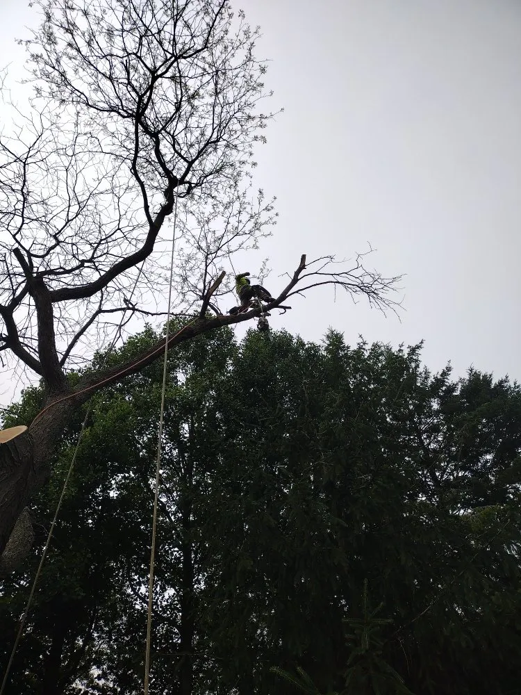 Reliable garden landscaping in Canton, MI by Sam Outdoor Service