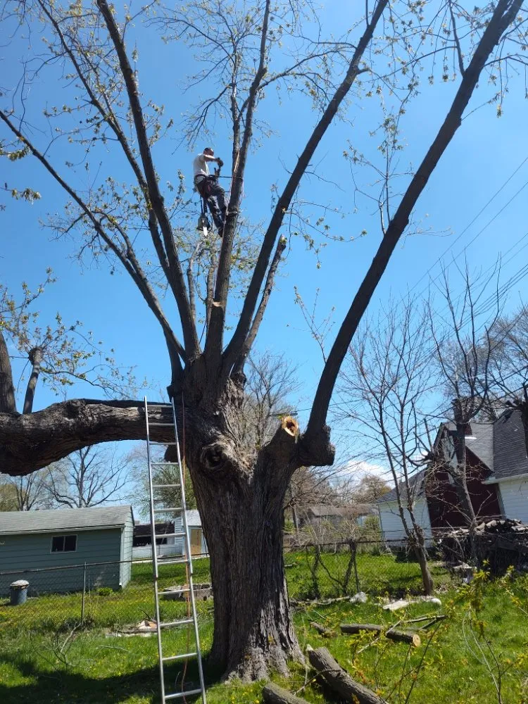 Custom yard cleanup service in Canton, MI by Sam Outdoor Service