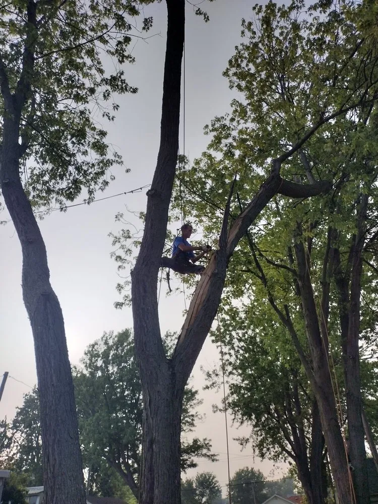 Trusted residential landscaping for residential properties in Canton, MI by Sam Outdoor Service