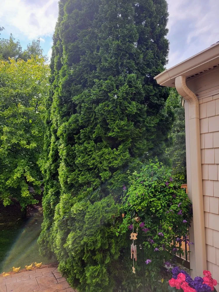 Expert garden landscaping near you across Canton, MI - Sam Outdoor Service