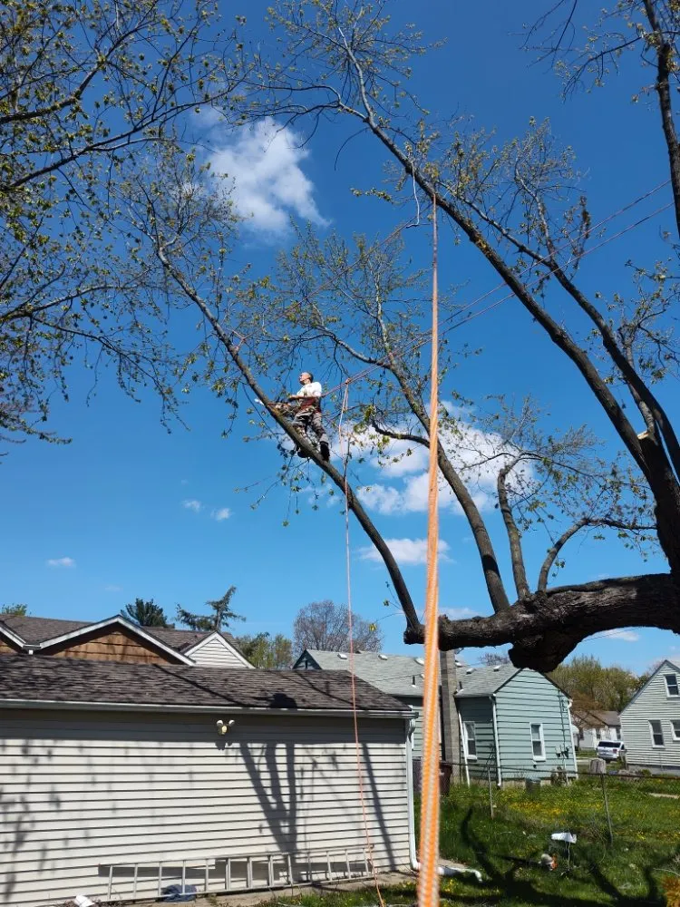 Affordable landscape installation for residential properties in Canton, MI by Sam Outdoor Service