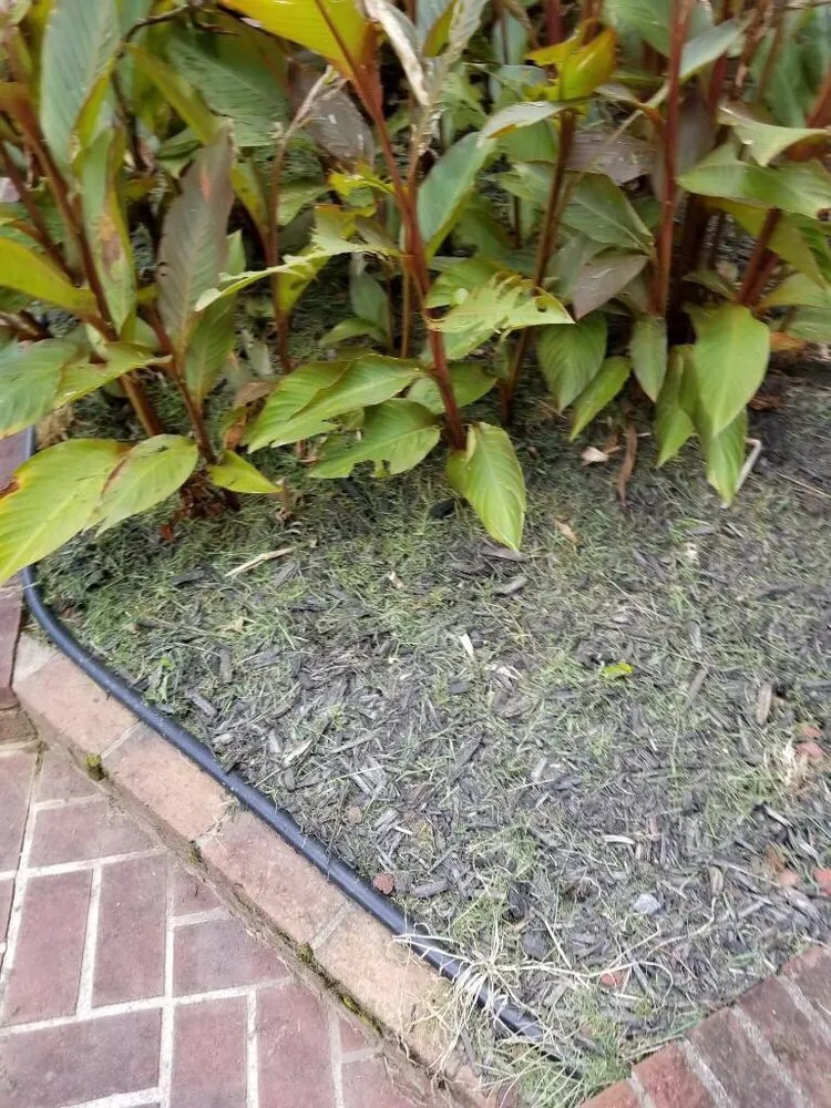 Reliable yard cleanup service in Kennesaw, GA by Sam Smith Landscaping