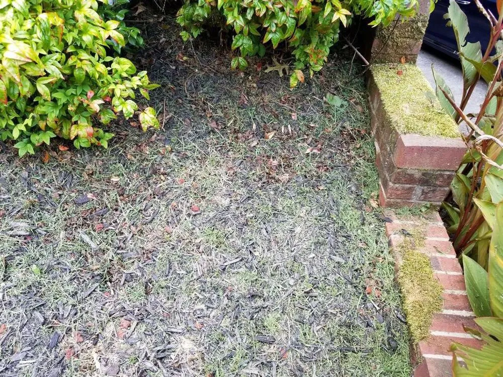 Custom yard cleanup service in Kennesaw, GA by Sam Smith Landscaping