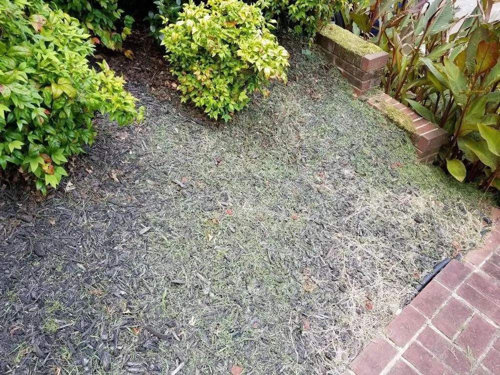 Affordable yard maintenance in Kennesaw, GA - Sam Smith Landscaping