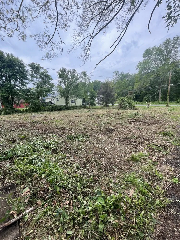 Reliable yard cleanup service for homes across Pine Bush, NY - Sam W And Son