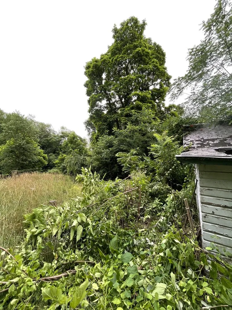 Top-rated lawn mowing service experts serving Pine Bush, NY - Sam W And Son