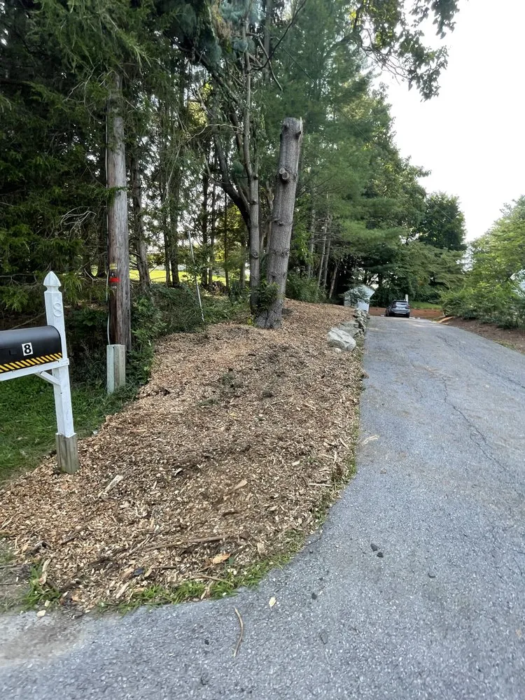 Expert yard maintenance in Pine Bush, NY by Sam W And Son