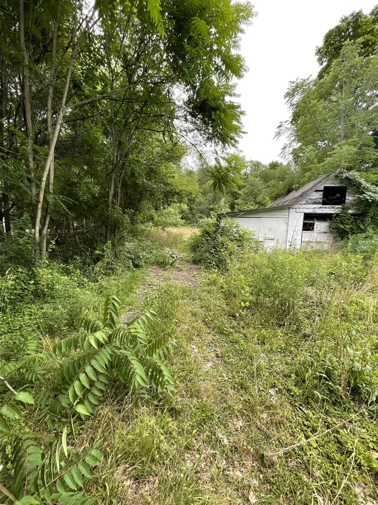 Professional landscaping services in Pine Bush, NY - Sam W And Son