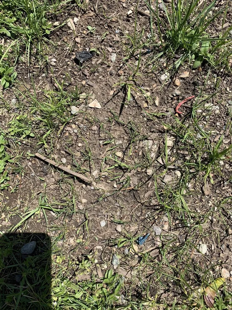 Expert garden landscaping for homes across Medfield, MA - Sam White & Sons Inc