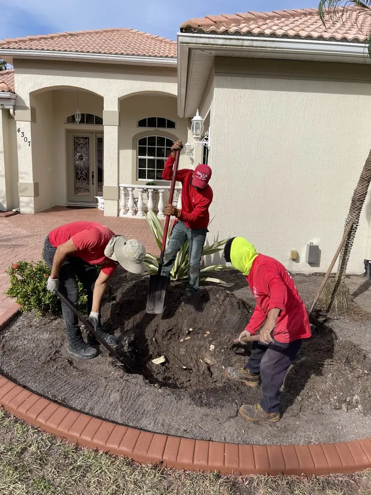 Affordable landscape installation experts serving Port Charlotte, FL - SAMA Landscaping & Lawn Service