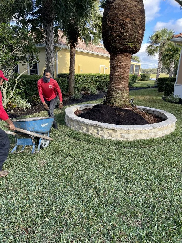Affordable lawn care service in Port Charlotte, FL - SAMA Landscaping & Lawn Service
