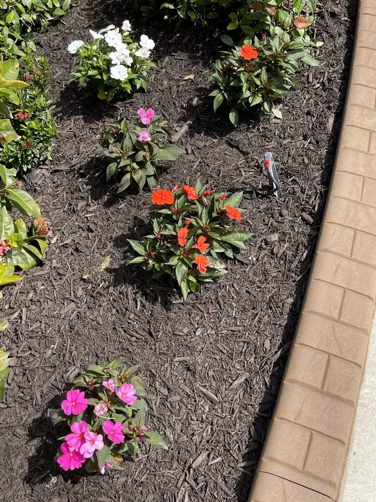 Trusted landscape installation for homes across Port Charlotte, FL - SAMA Landscaping & Lawn Service