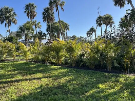 SAMA Landscaping & Lawn Service