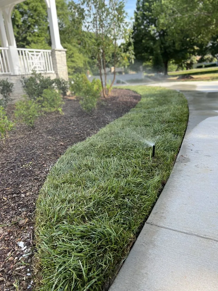 Professional yard cleanup service with custom design across Nashville, TN - Samano Irrigation