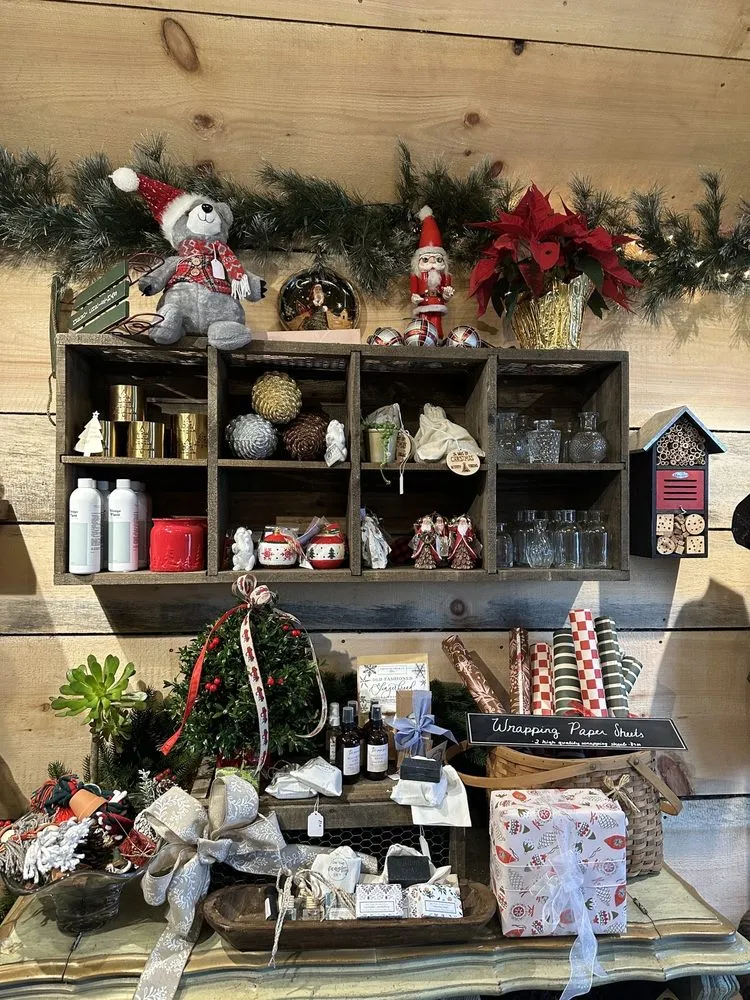 Expert yard maintenance for outdoor upgrades across Andover, MA - Samantha's Gardens