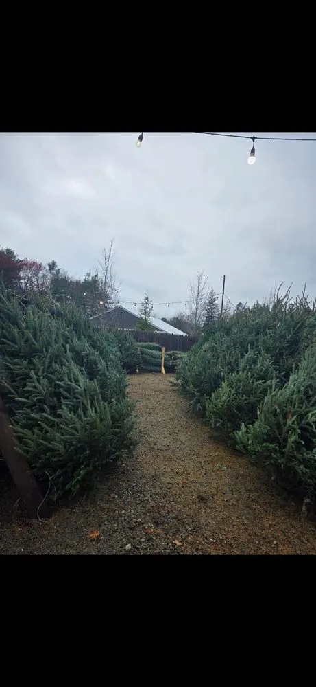 Expert landscaping services experts serving Andover, MA - Samantha's Gardens