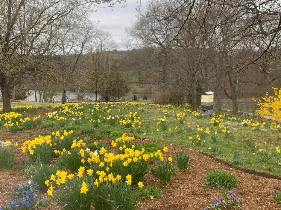 Professional landscape design for residential properties across Andover, MA - Samantha's Gardens